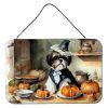 NEW Shih Tzu Fall Kitchen Pumpkins Wall or Door Hanging Prints Aluminum Metal Sign Kitchen Wall Bar Bathroom Plaque Home Decor, 8HX12W, Multicolor