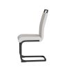 Modern Dining Chairs