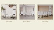Modern Dining Chairs