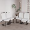 Modern Dining Chairs